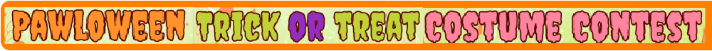 Halloween Pet Pictures