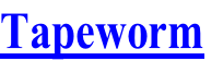 Tapeworm
